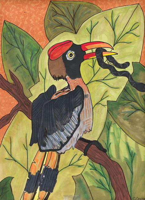 Caroline Toucan