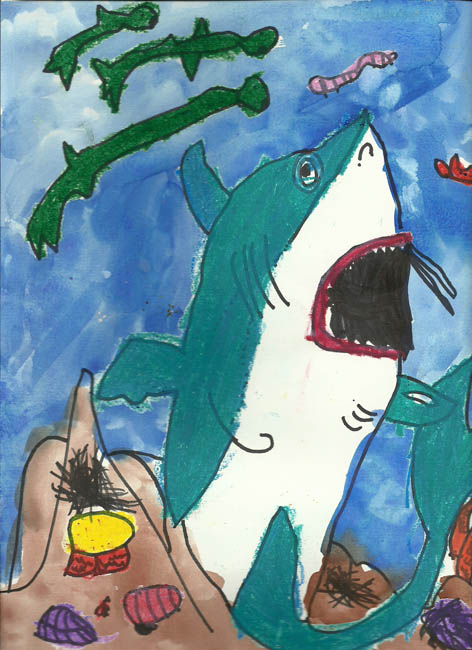 catrina age 8 shark0001