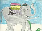 Kaitlyn elephant0001