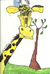 Luke 5 giraffe0001